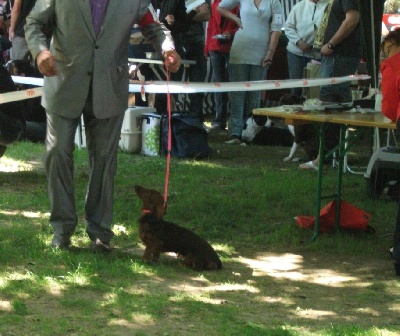 du Clos Espoir de Reve - PREMIER CONCOURS LIBOURNE 2012