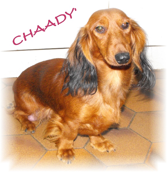 Chaady's Von lawranshome