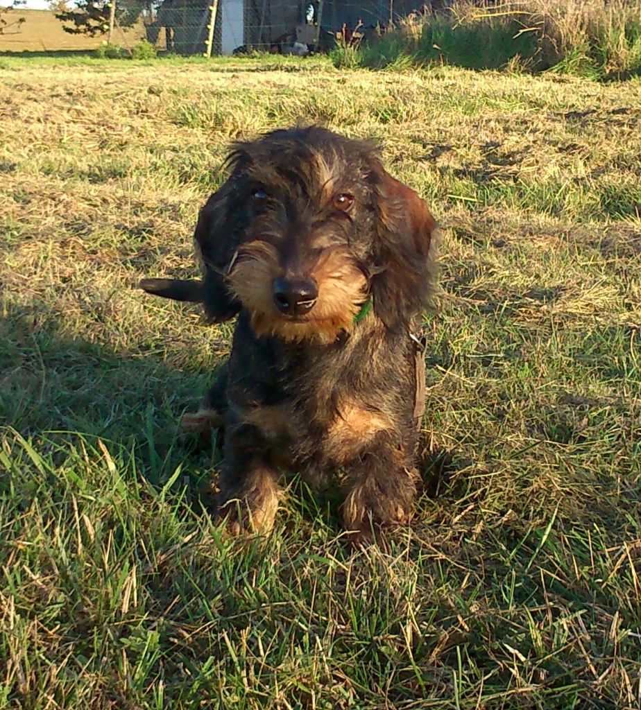 Juliette von kobeddos du chateau de tulle